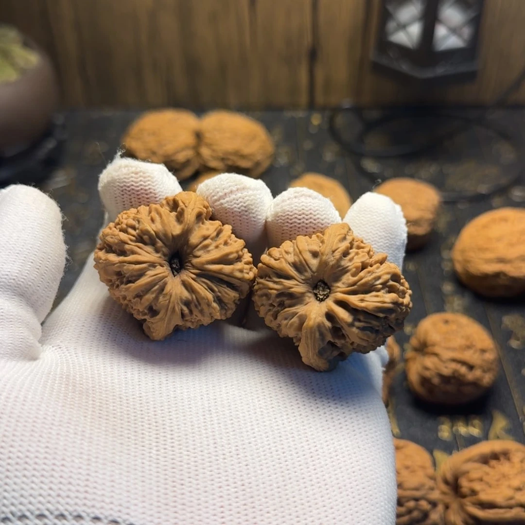 文玩核桃把件罩*住文玩核桃