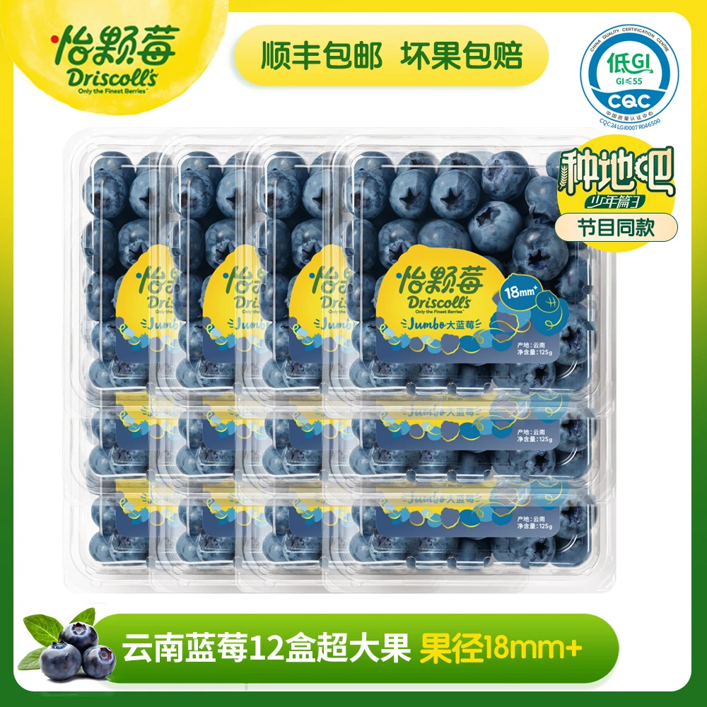 怡颗莓云南蓝莓(当季限量)18mm*12盒  新鲜种地吧同款