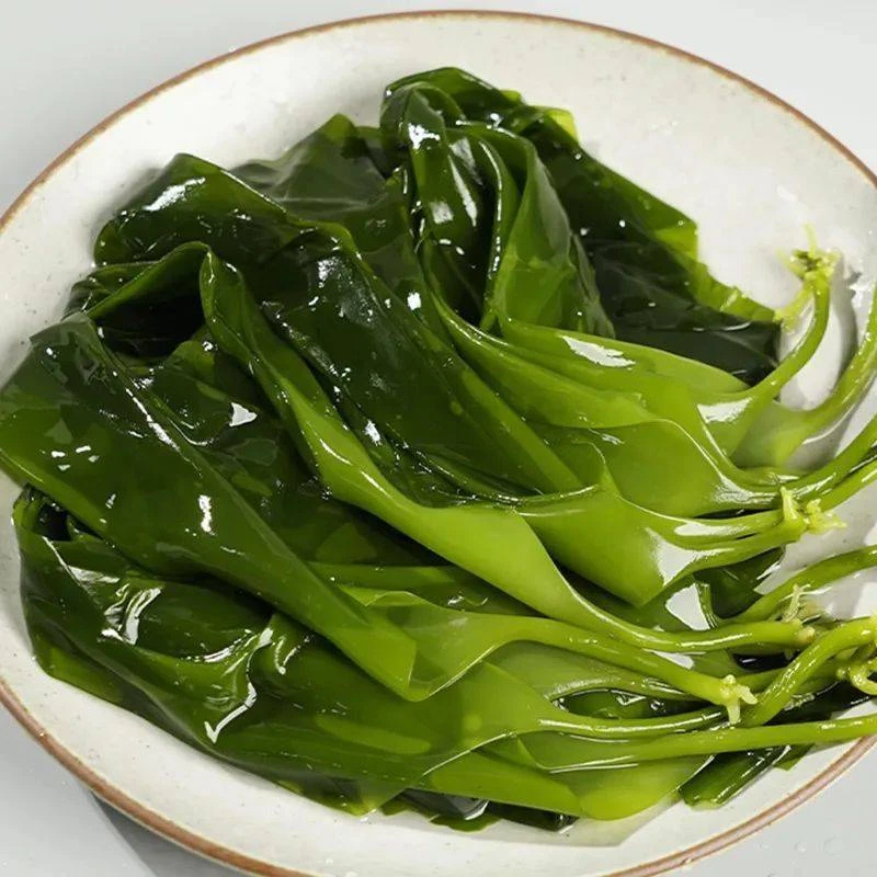 (小章推荐)盐渍整颗头茬海带苗小海带火锅凉拌菜煮汤鲜嫩脆爽