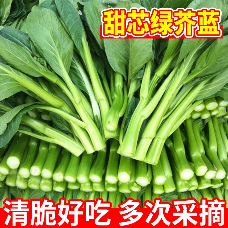 甜芯绿芥蓝种子 柳叶百花甜脆芥兰种籽四季农家阳台庭院蔬菜种子