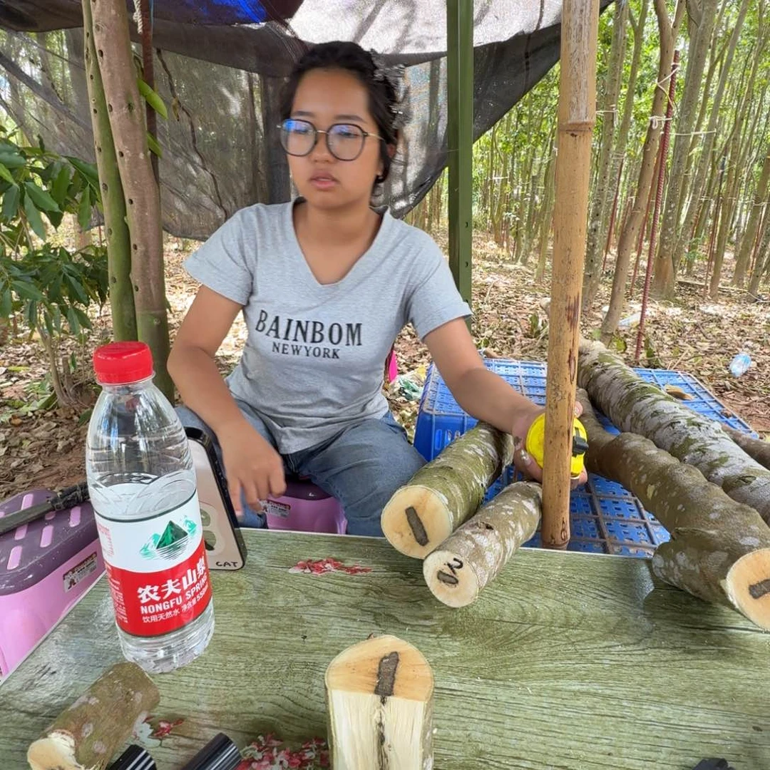 8***叔线香奇楠沉香原木