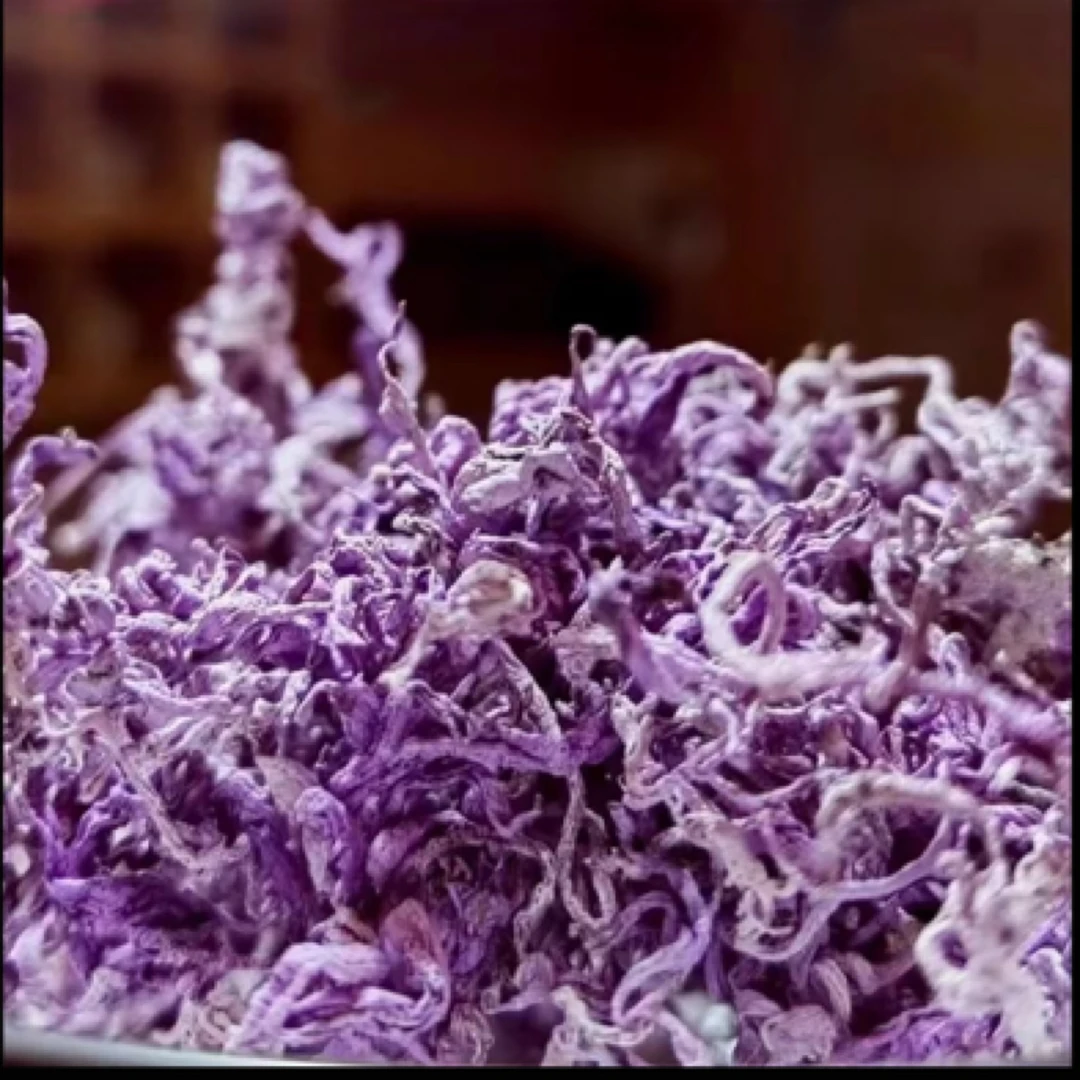 【紫莓茶】湖南湘西2025年清面前特级牙尖茶