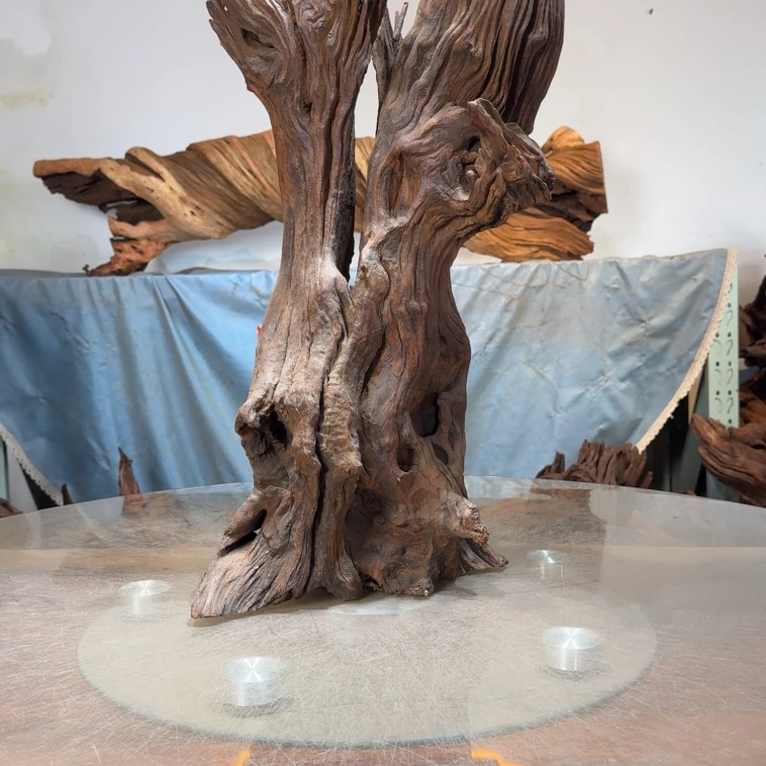 *****沉木一物一拍造景