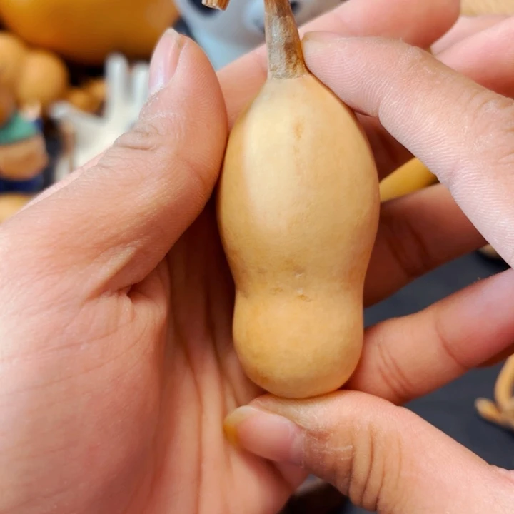 静**艺888888888888888888