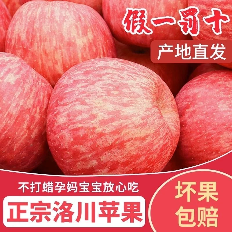 煊程正宗洛川苹果陕西红富士苹果产地直发孕妇水果新鲜脆甜多汁