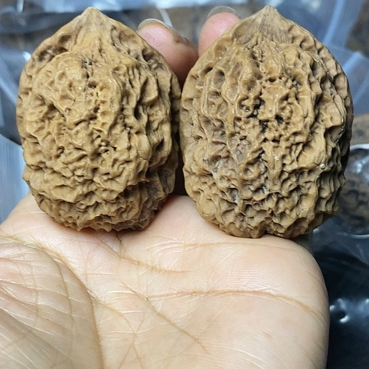 把件文玩核桃云南铁核桃81