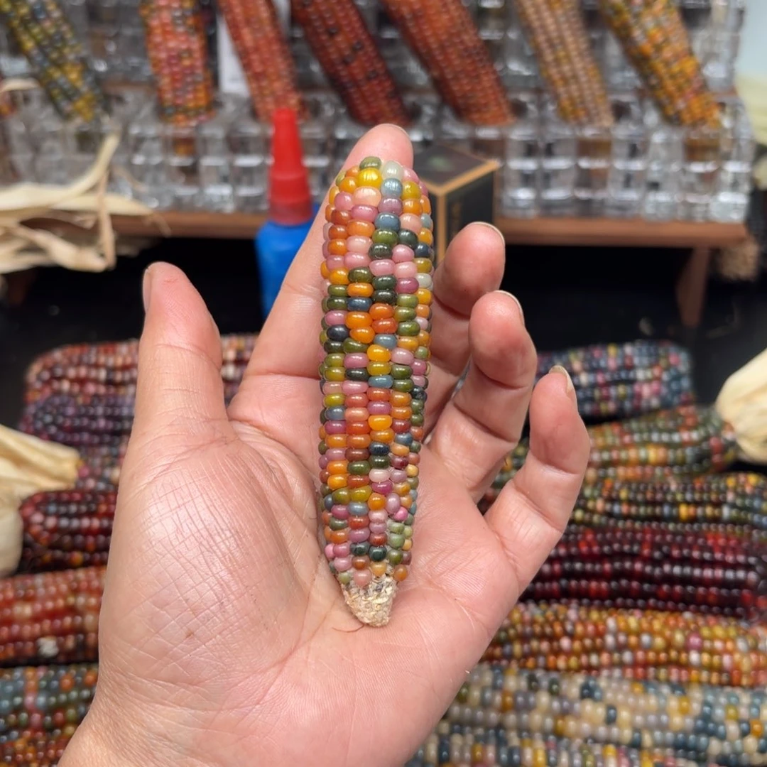 柏香籽/百香籽吊坠婧*?