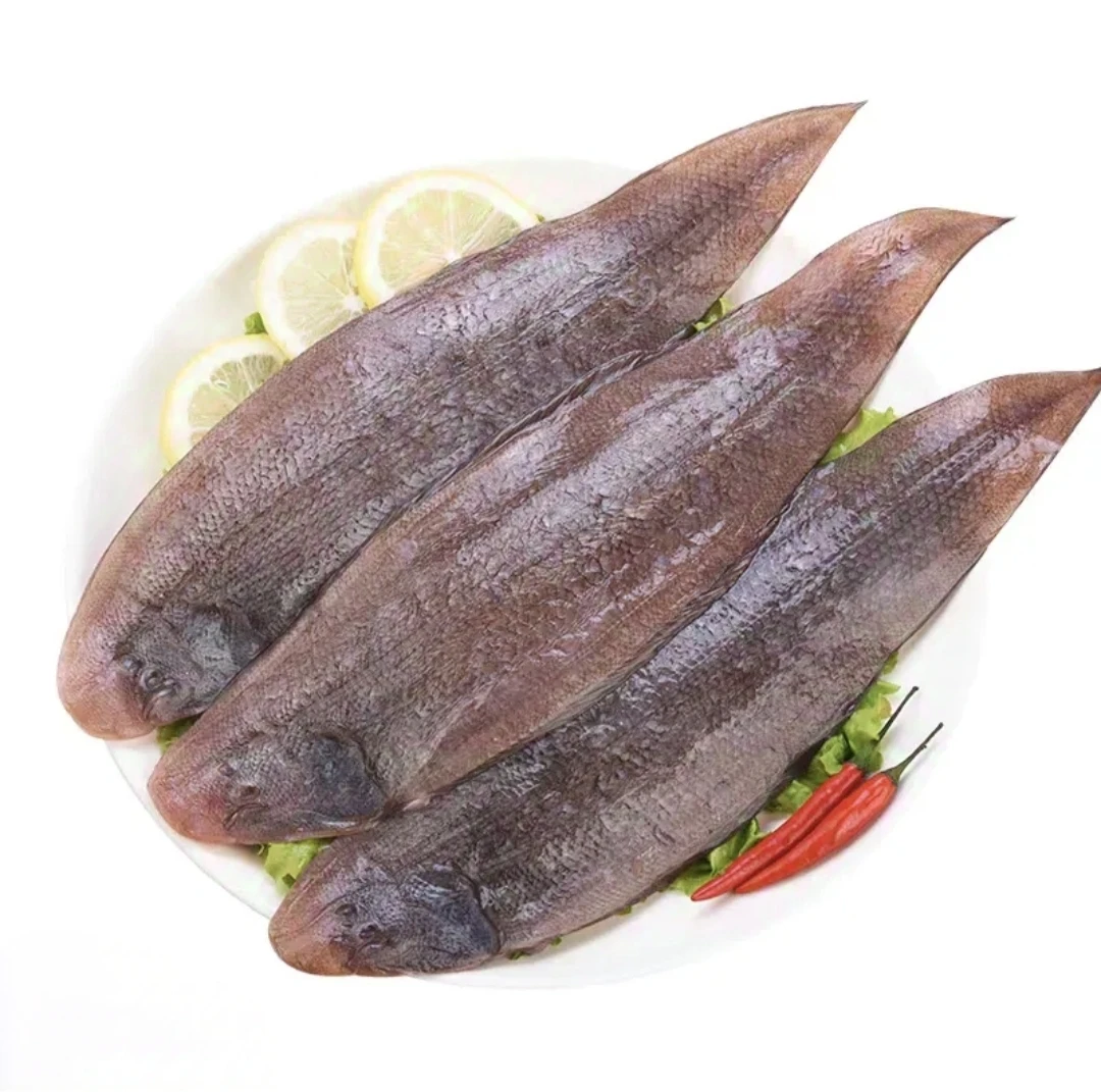 大号海捕龙利鱼5斤舌头鱼单条半斤左右红烧香煎油炸顺丰包邮