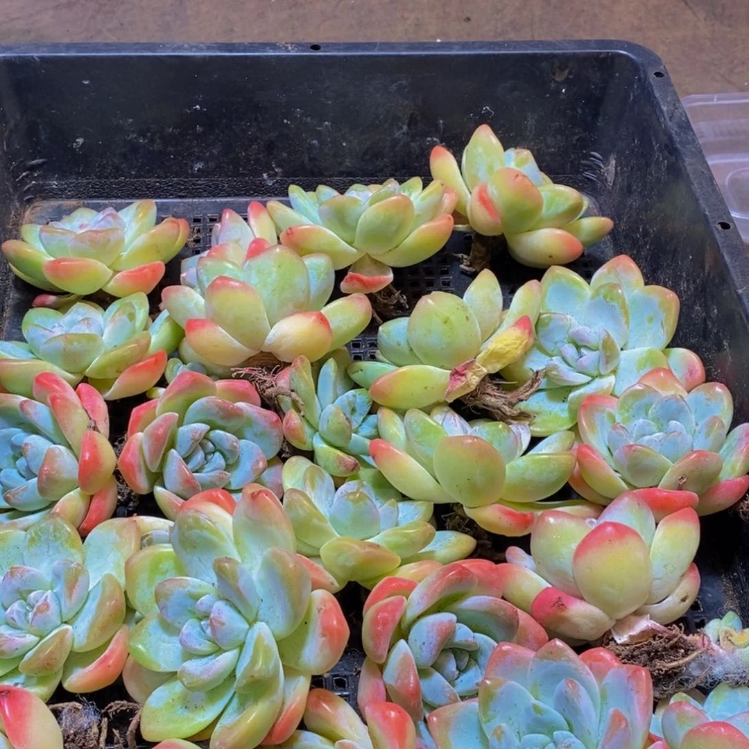 105的人在一起的时候就会觉得