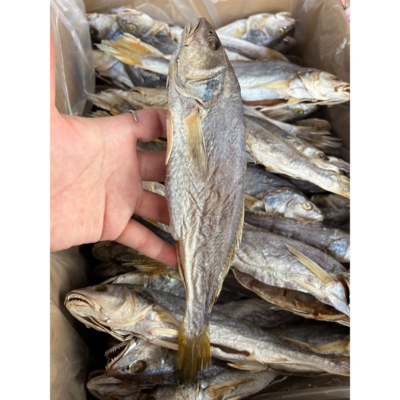 香港梅香包或咸鱼干-梅香咸鱼干-500克-