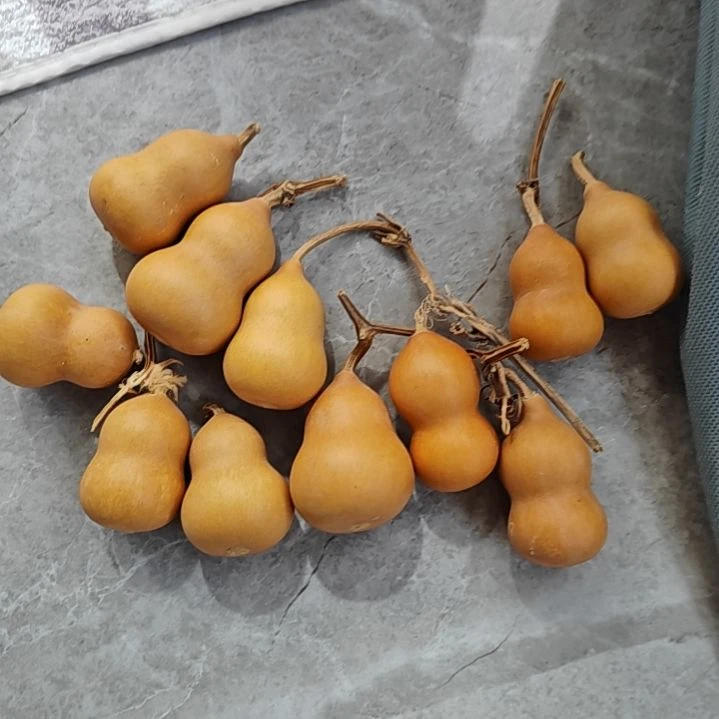 大****钱袋子葫芦微瑕小葫芦