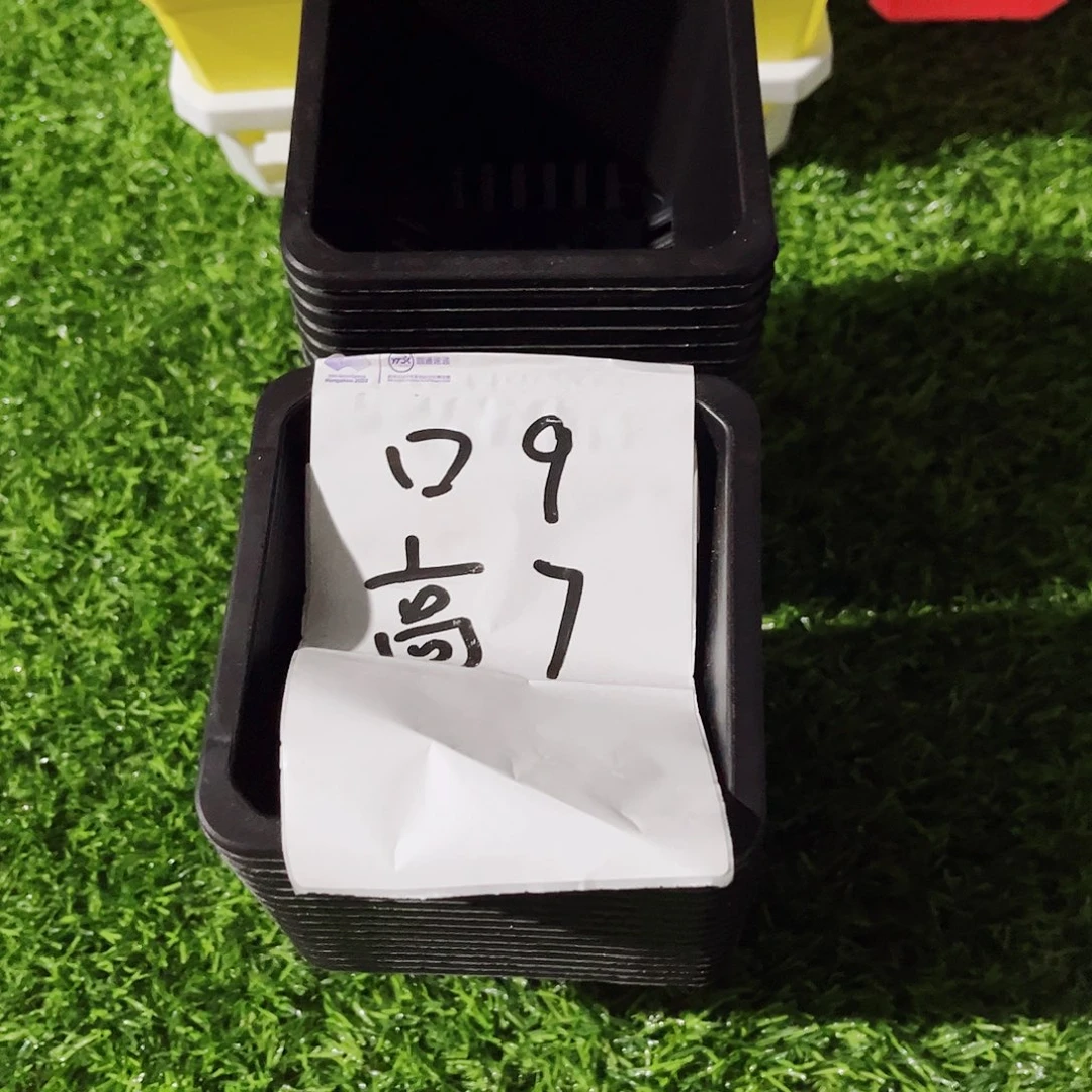塑料福利款9方黑色盆40个无托