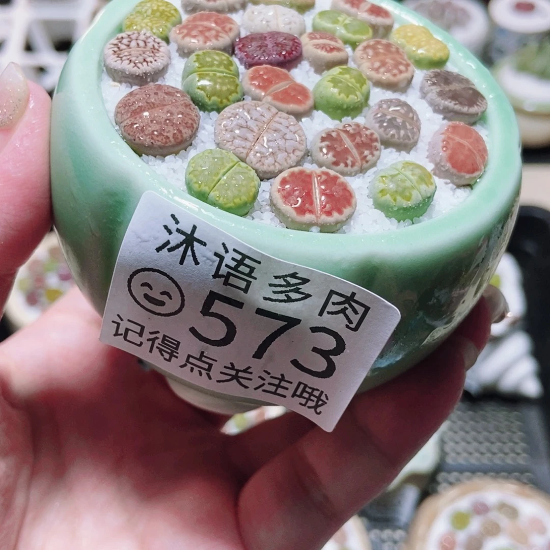 一物一拍 所见即所得 573
