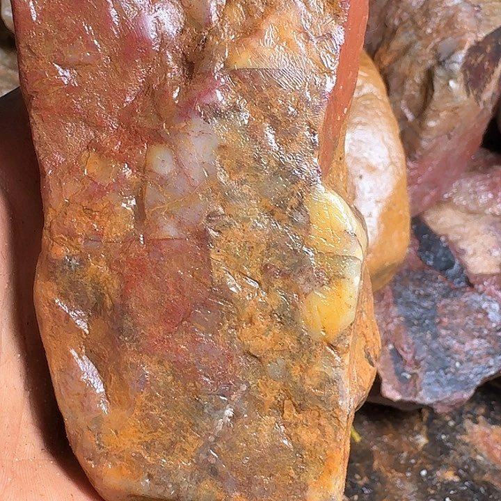 上***室寿山石寿山石的种类