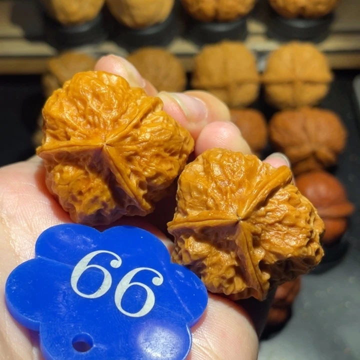 三棱34尺寸核桃。