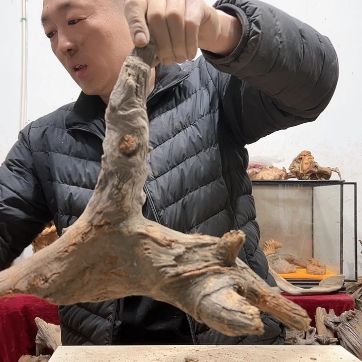 柏木木****店我们都是好孩子呀我也