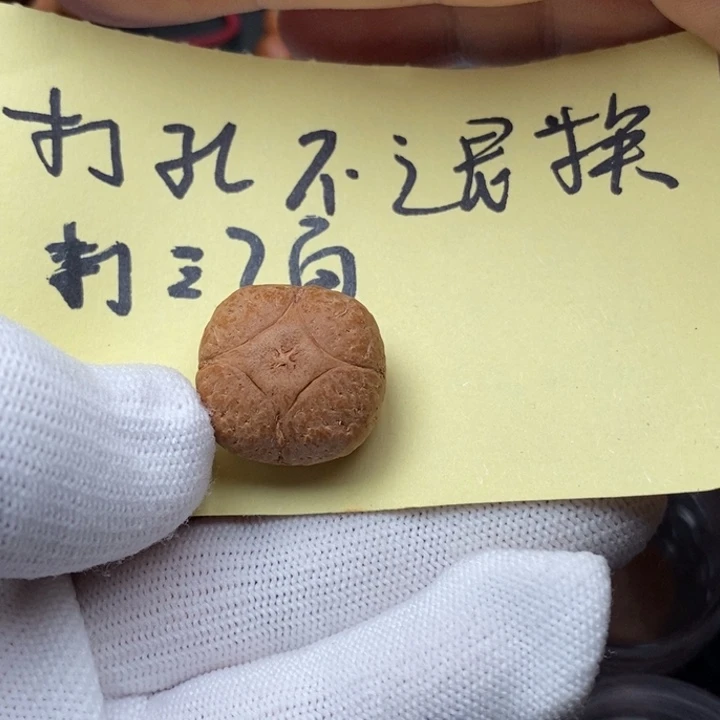 凤眼菩提把件谢*麒麟22mm定制打孔不退换三通