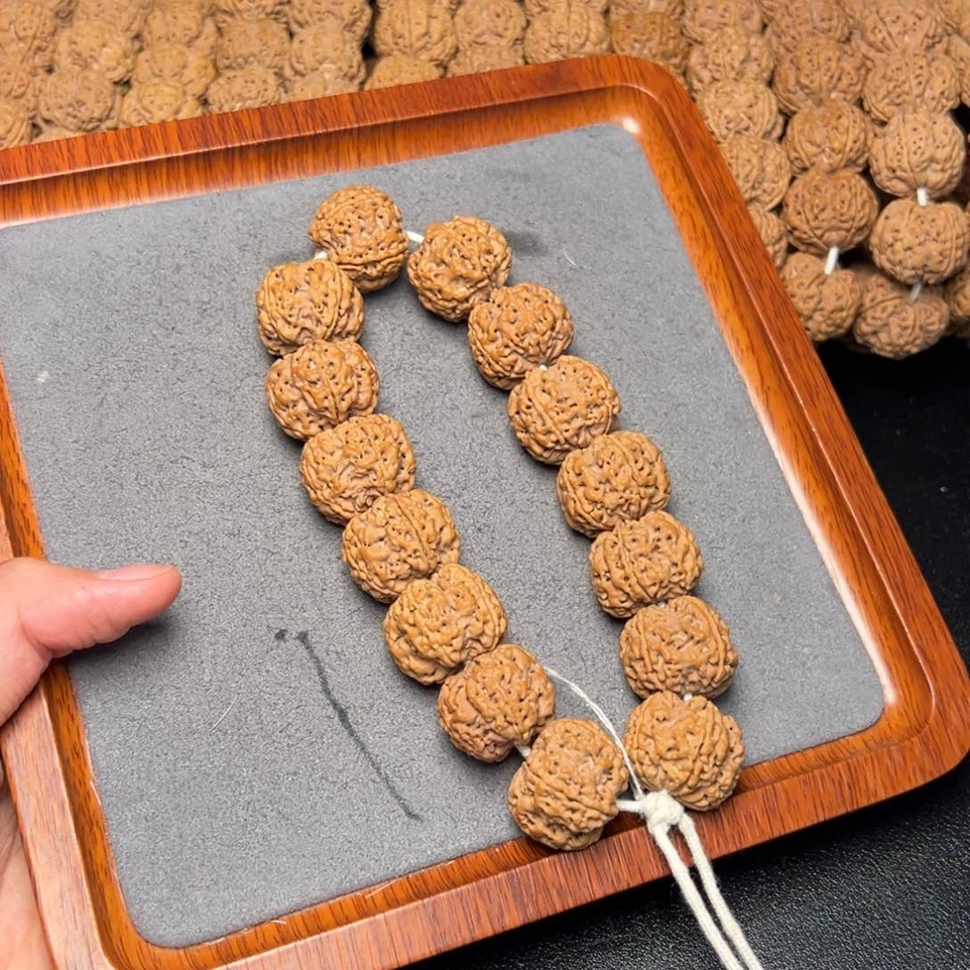 菩提12号尼泊尔大金刚23梅花豆腐块