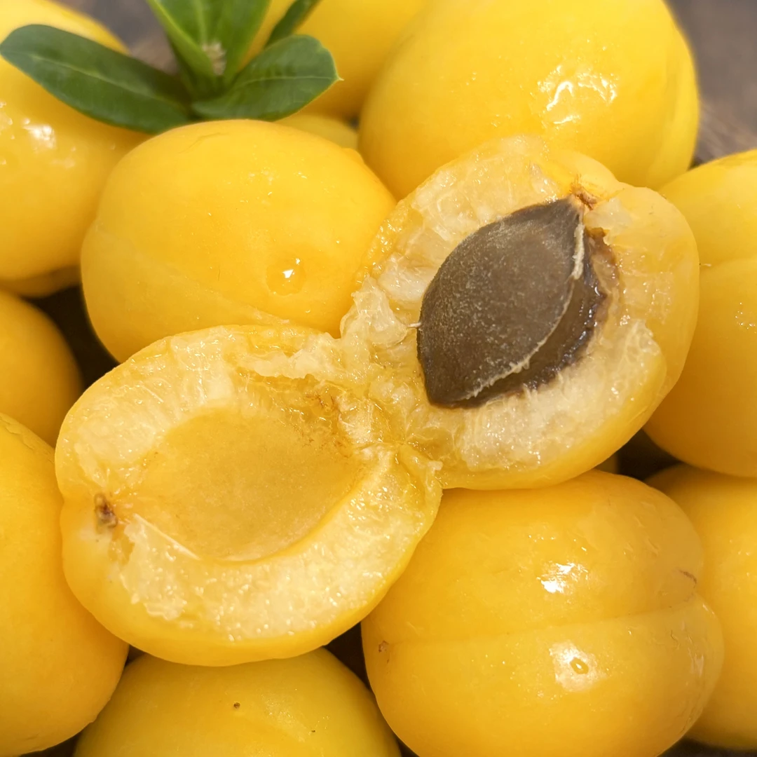 小白杏新疆轮台纯甜无酸香甜爆汁粒粒精选独立包装3斤【先吃黄色