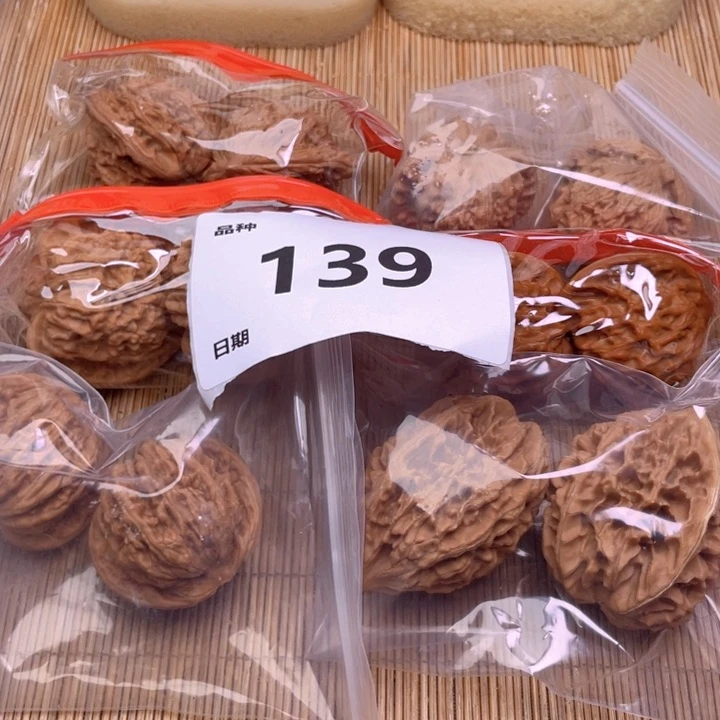 文玩核桃把件139号6对带练手招财鼠