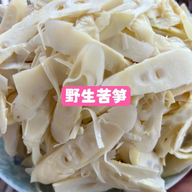 江西赣南野生苦笋新鲜采摘天然健康