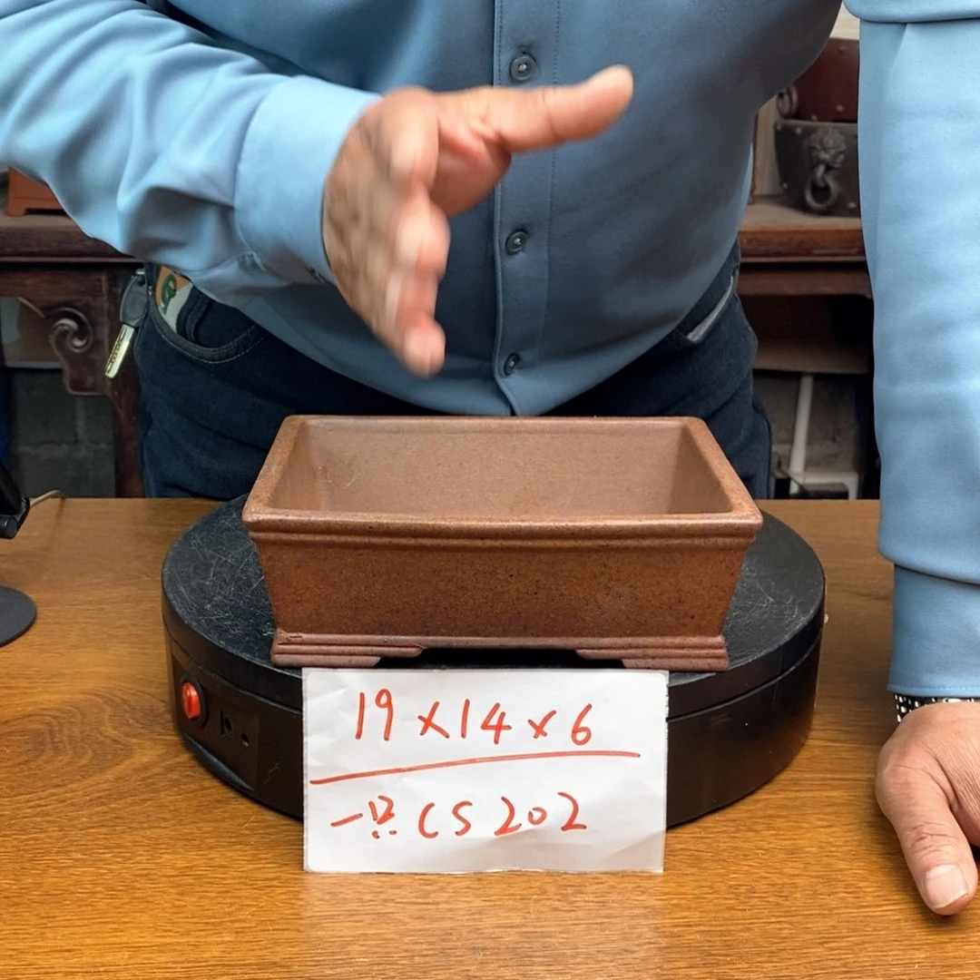 紫砂货号一只CS202