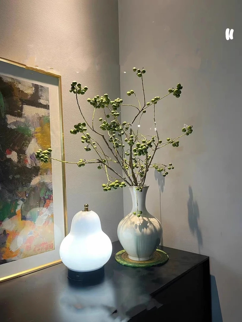 乌桕果菩提果小众花材可水养可做干花提升家居高级感