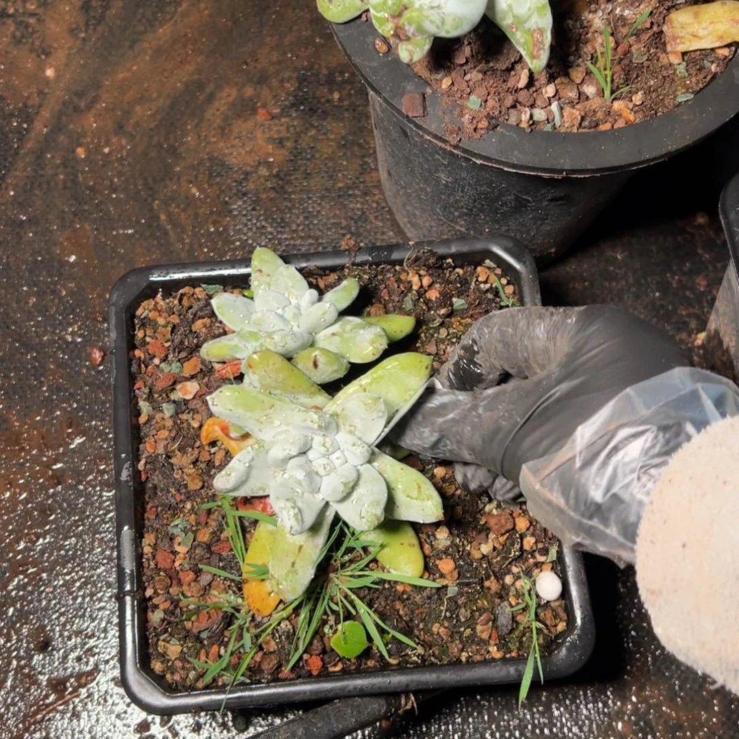 361个哈哈哈哈哈哈哈哈