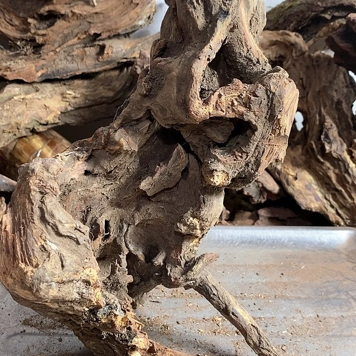 黄花梨/降香黄檀畅*