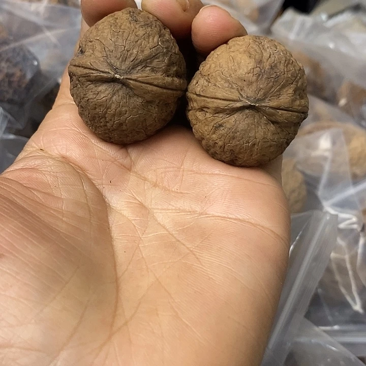 核桃云南铁核桃基地12