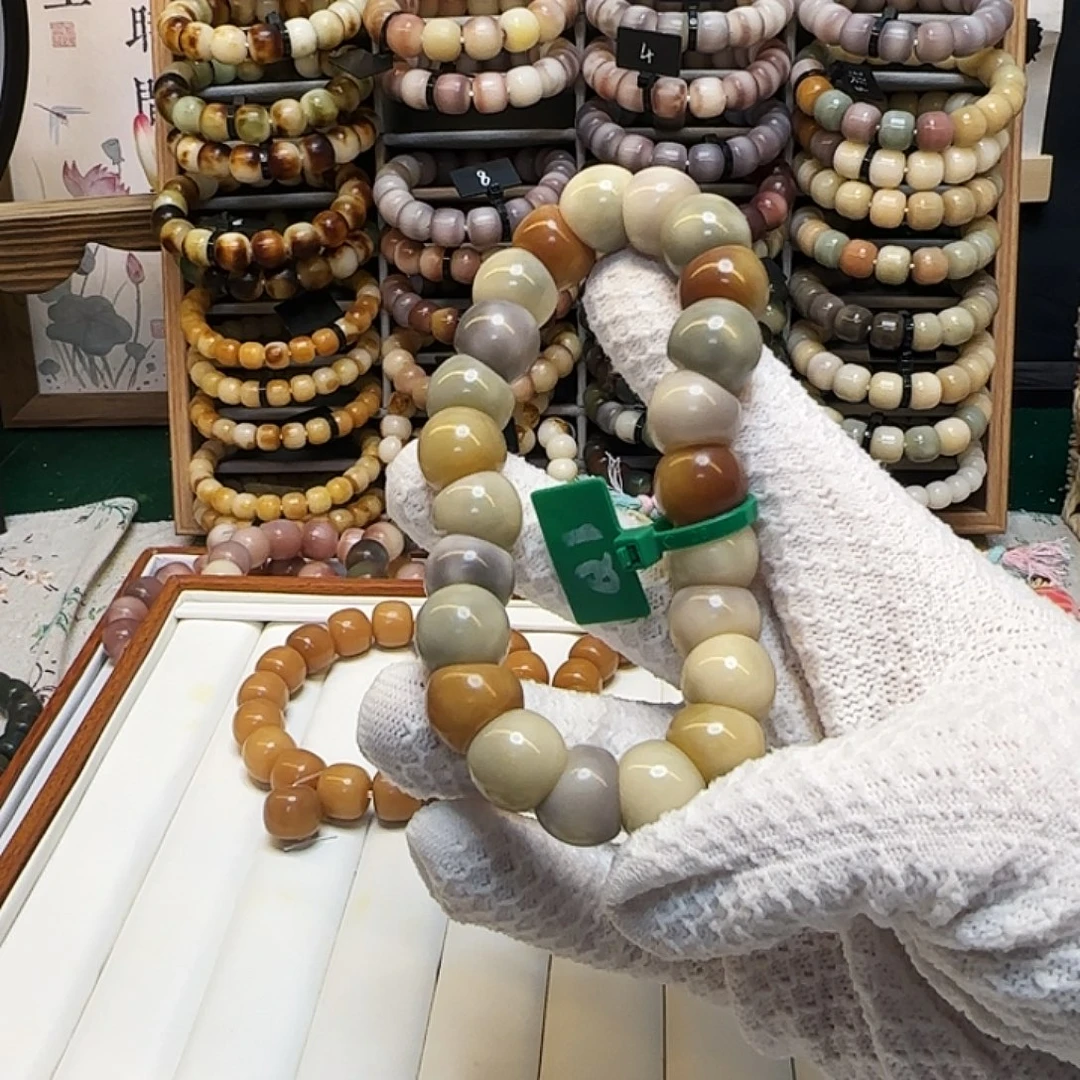 吊坠菩提根/象牙果卡15蒜瓣肠福利