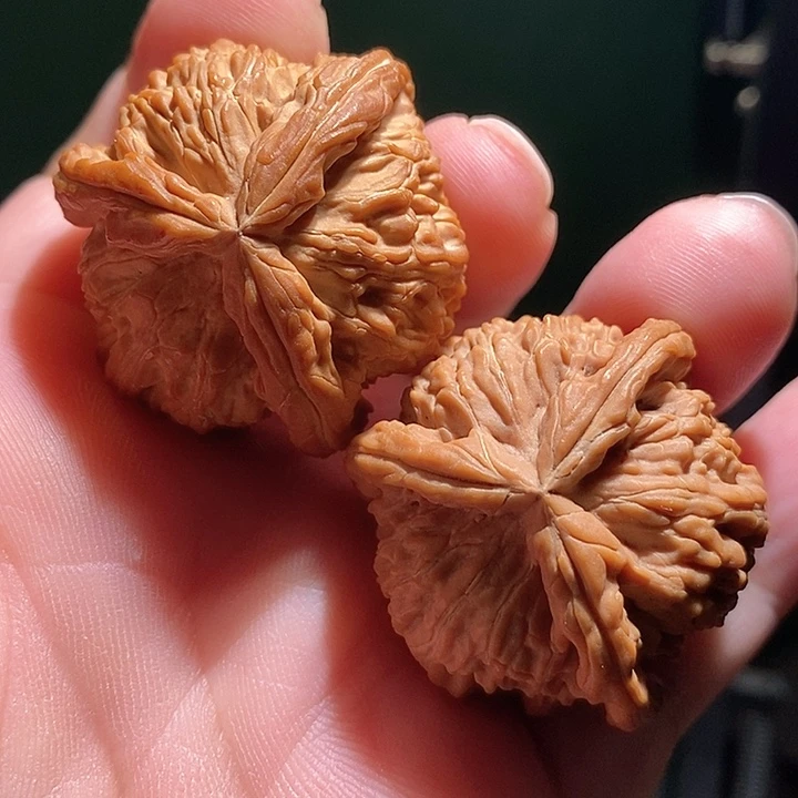 文玩核桃把件39白奔全品