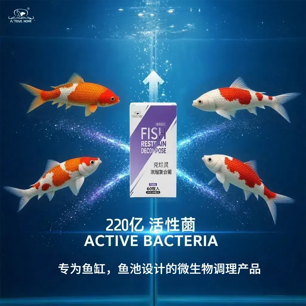 【克烂灵】澳洲章鱼家鱼缸净化有害菌引起锦鲤