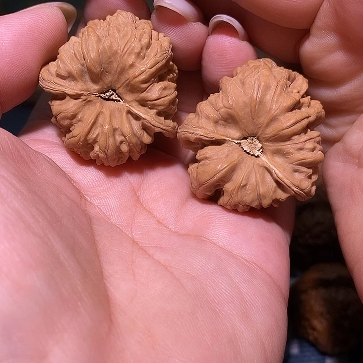 文玩核桃把件36凹底龟背