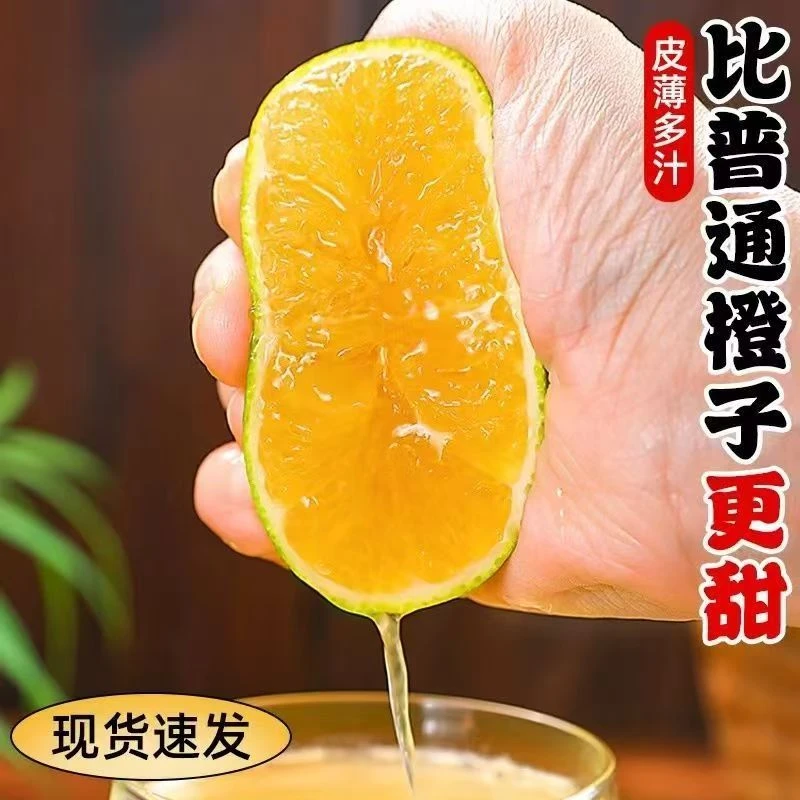 【哀牢山冰糖橙】正宗云南纯甜橙子果冻橙当季新鲜水果手剥甜青皮橙