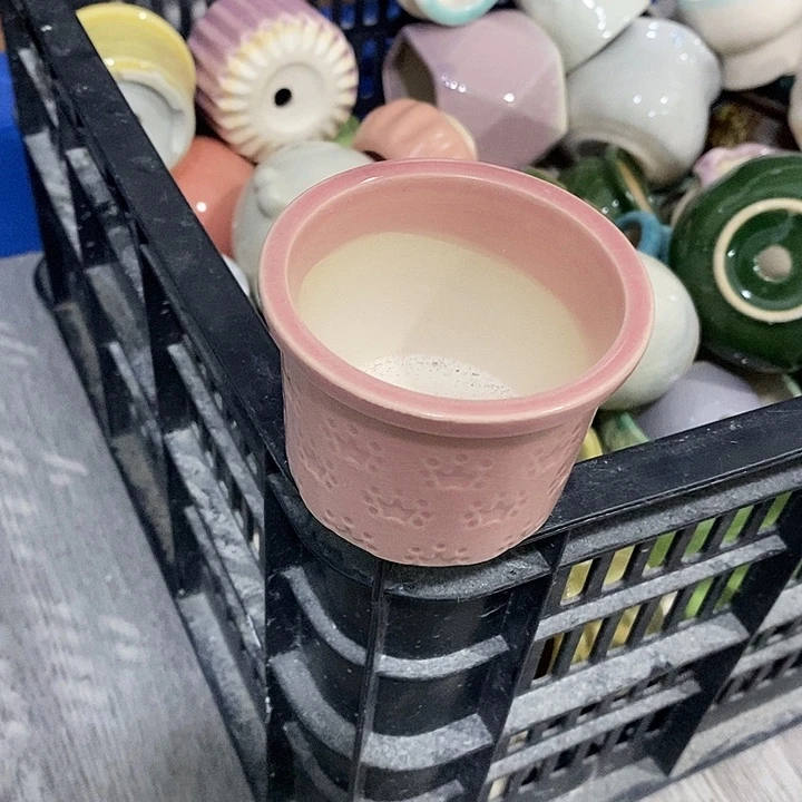花盆抢购清货马上开始