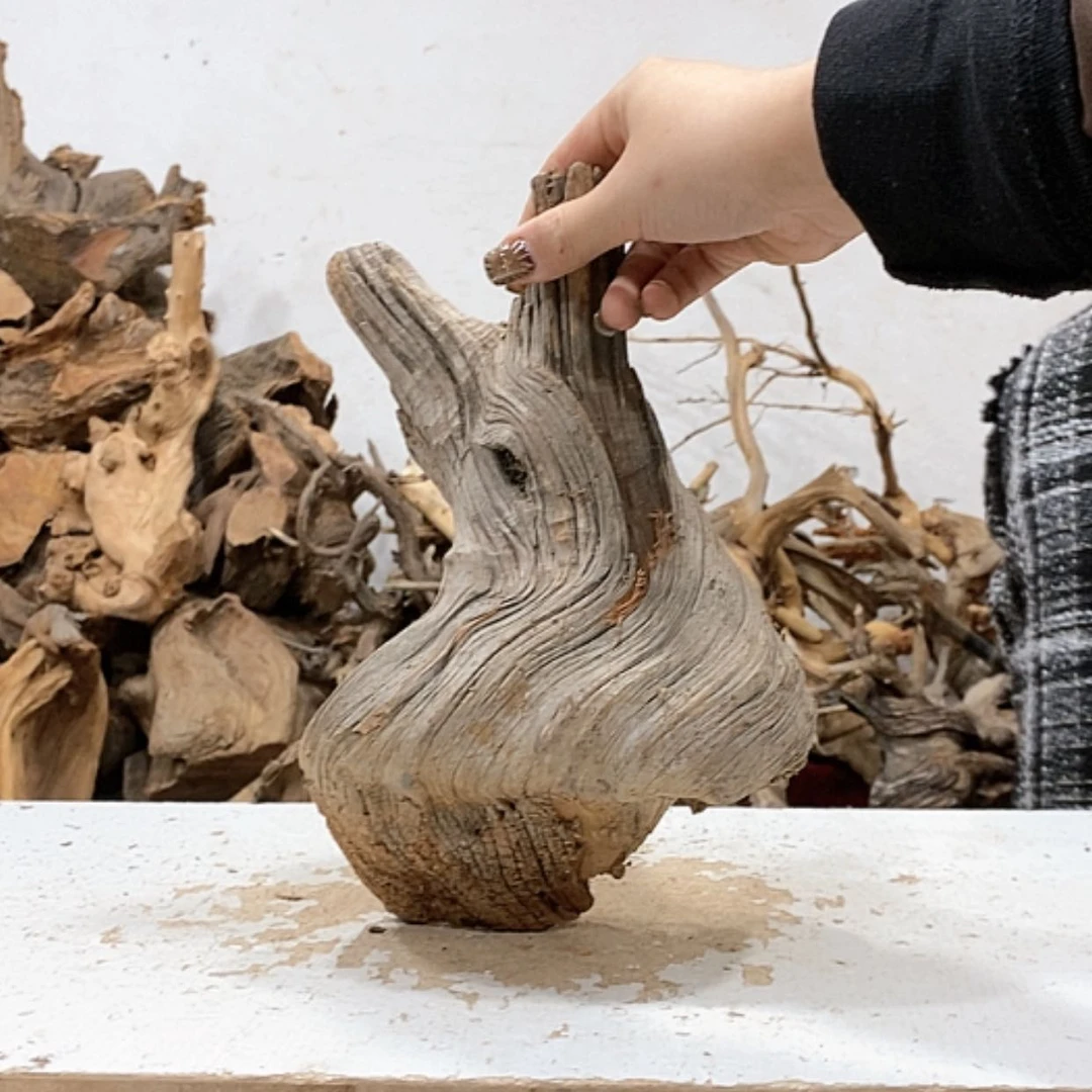 【闪购商品】柏木熟****?我们都是好孩子