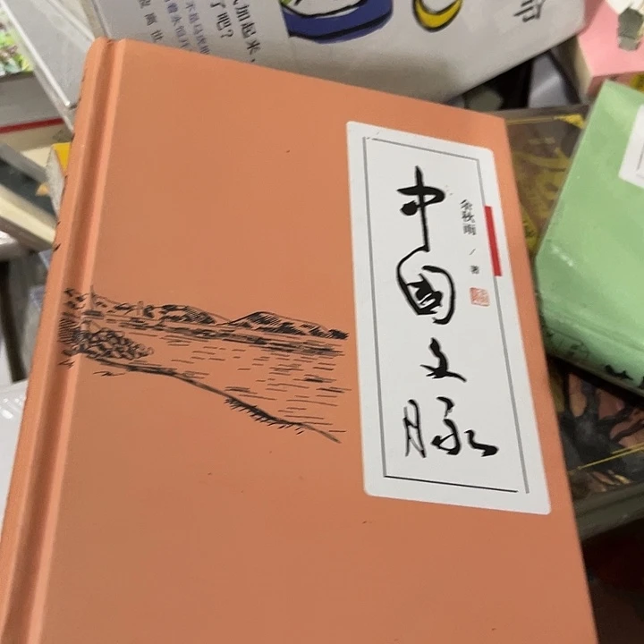 彬***啊中国文脉八米一个