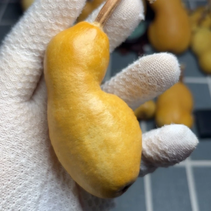 心***安66666666666666666