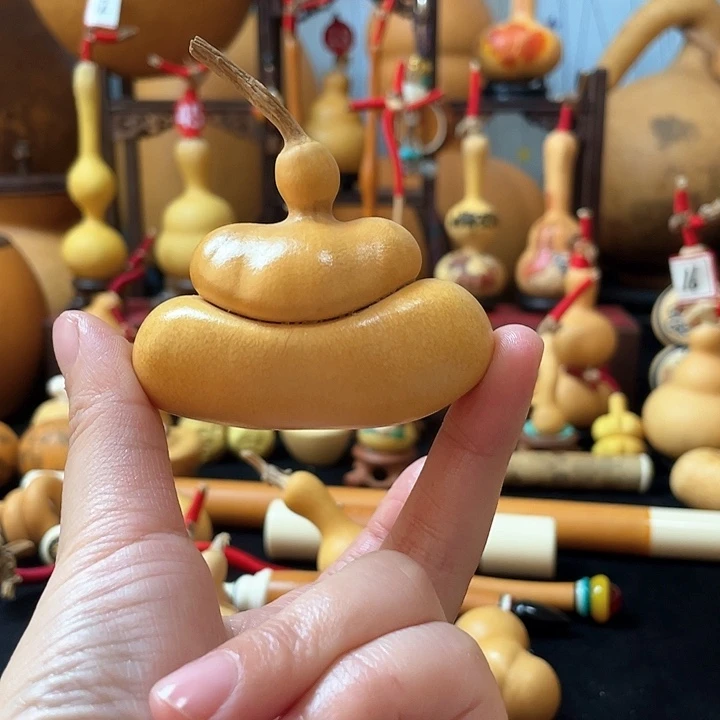 风**月葫芦丝老师真的不容易、