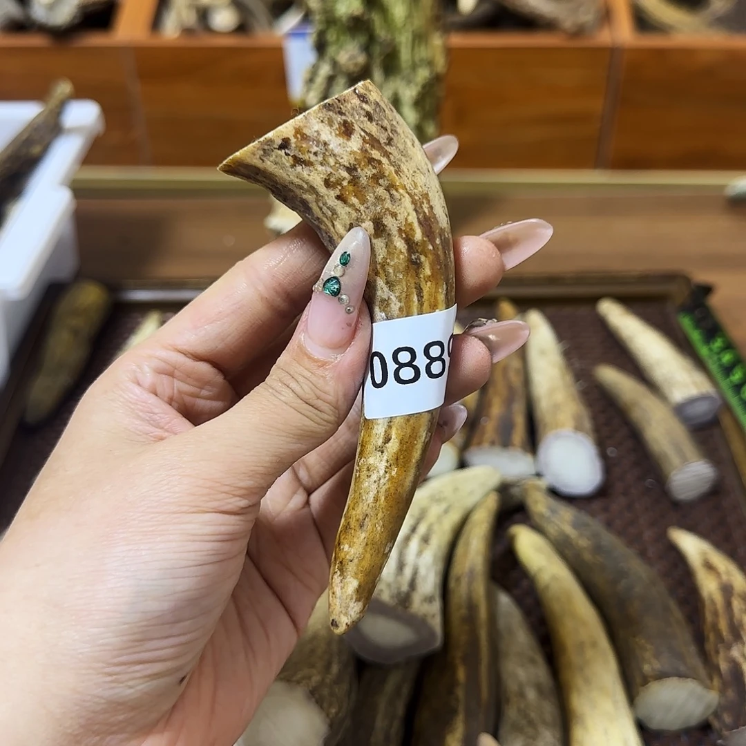 手串/手链鹿骨0889角尖