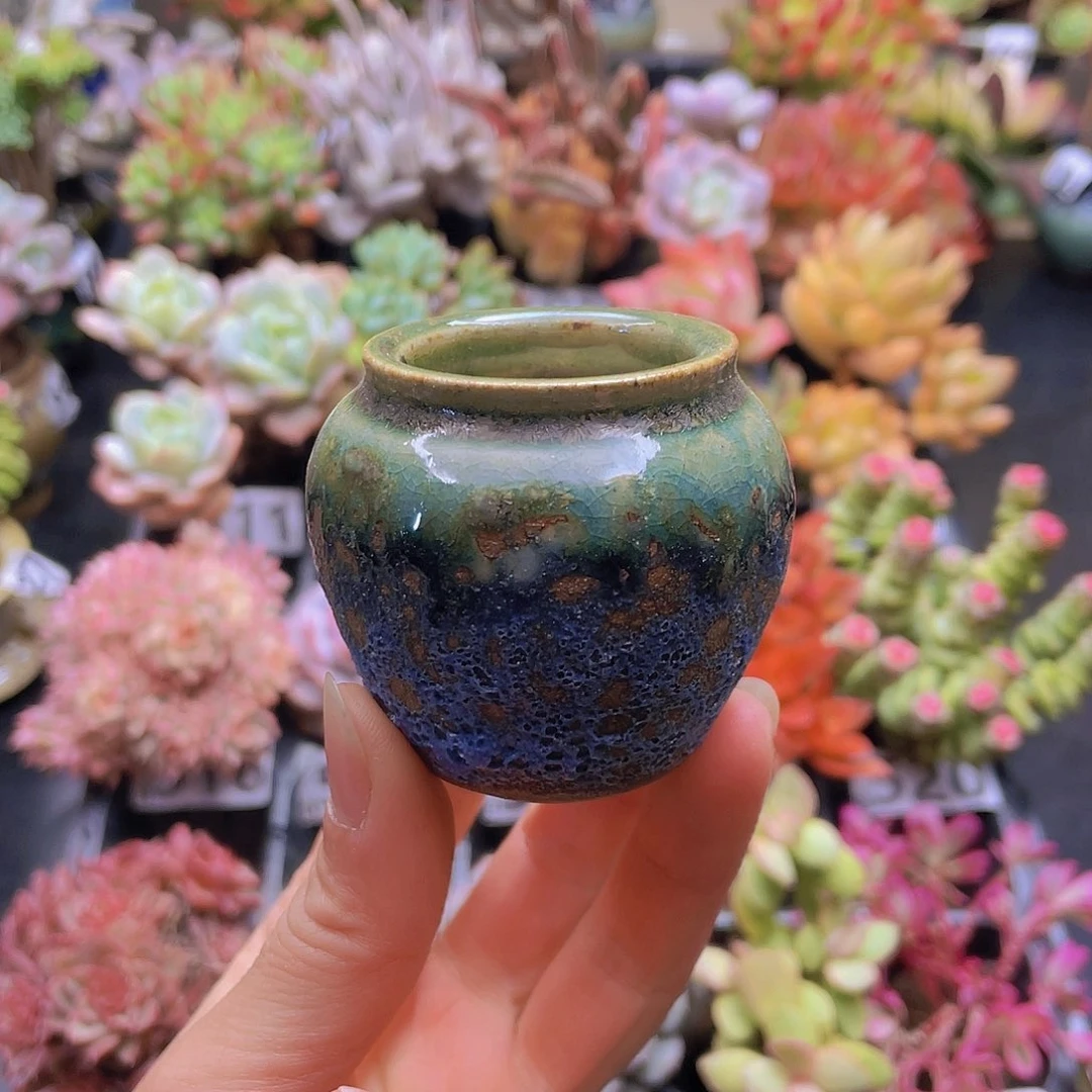 花钱花钱花钱花钱花钱花钱