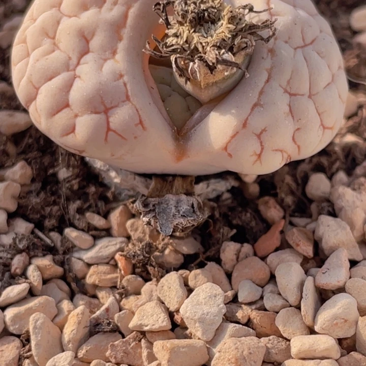 4888990088788888888.88888