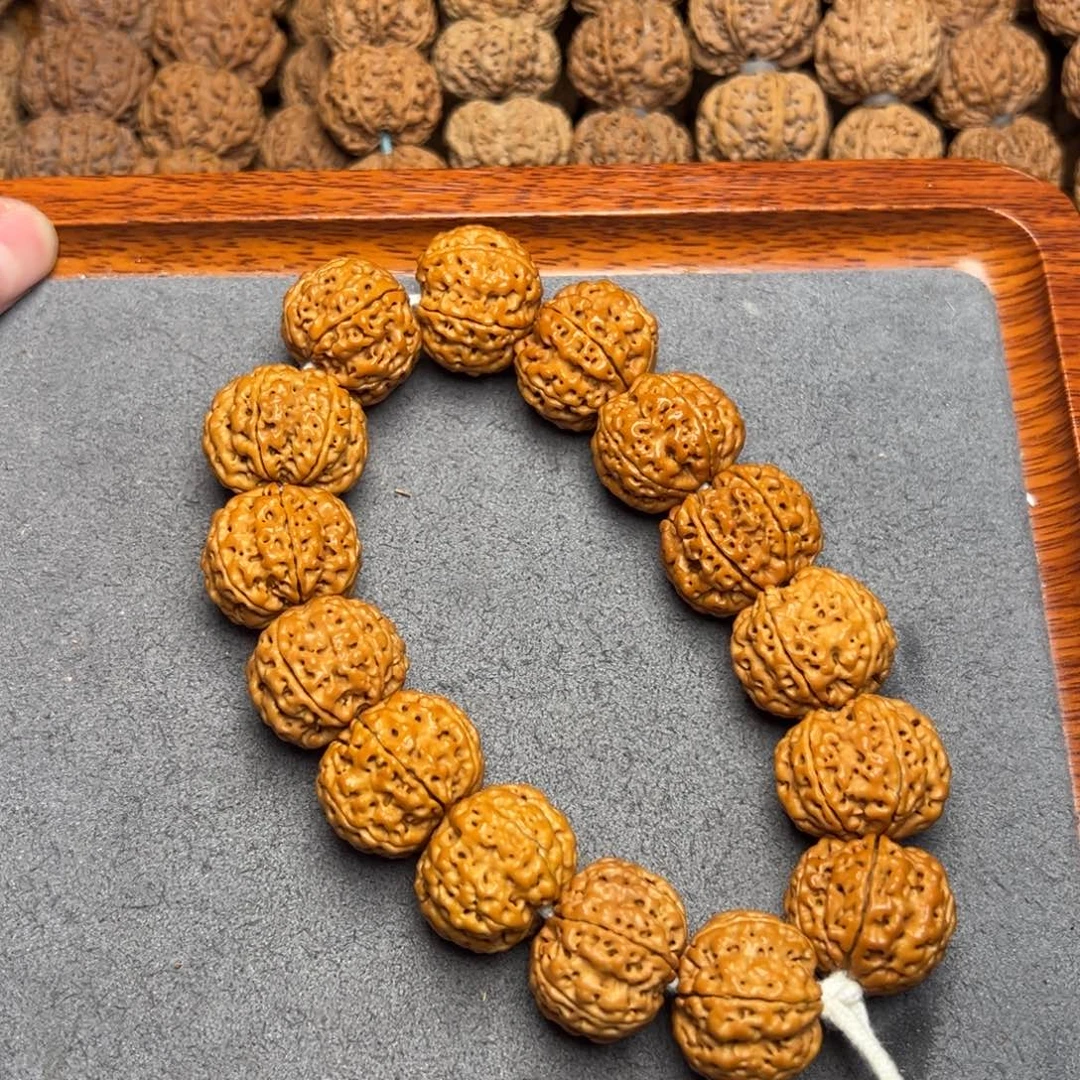 菩提11号尼泊尔大金刚22六瓣蜂窝