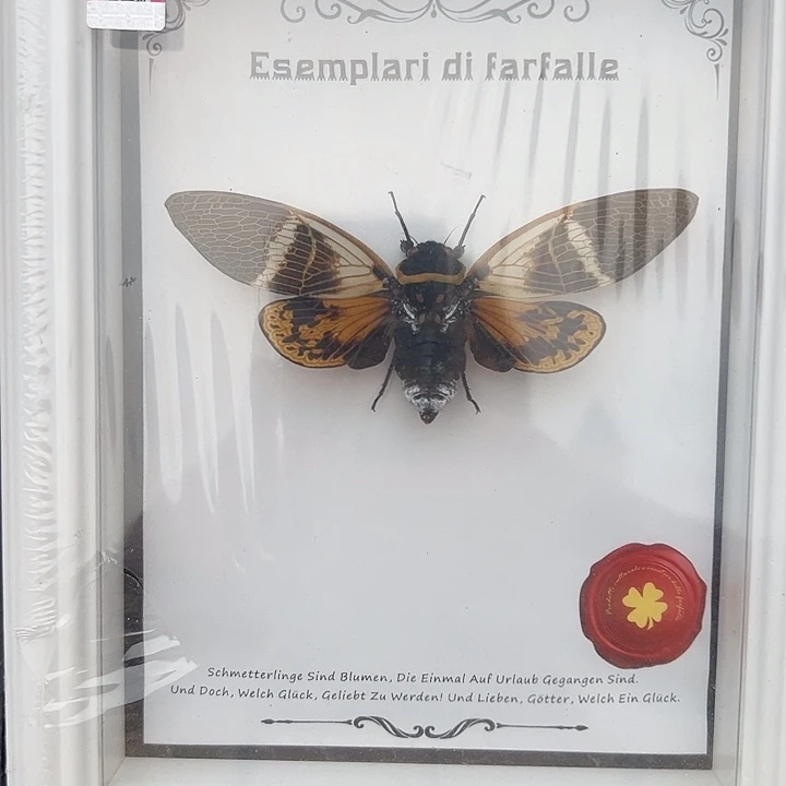 有机玻璃12333455666777一