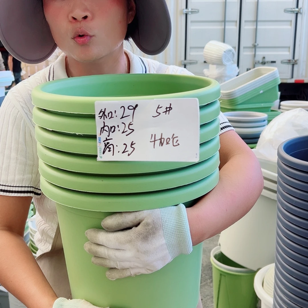 四季盆5#果绿色6个无托