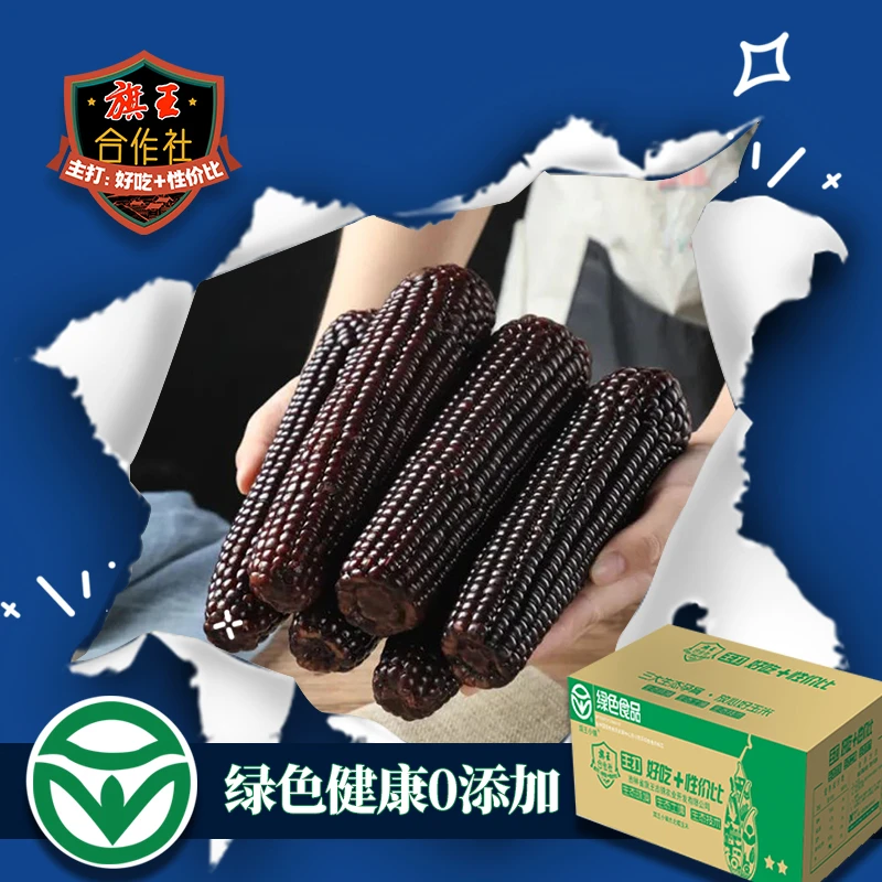 试吃2根】绿色A级东北黑糯玉米旗王合作社主产区真空独立包装10根