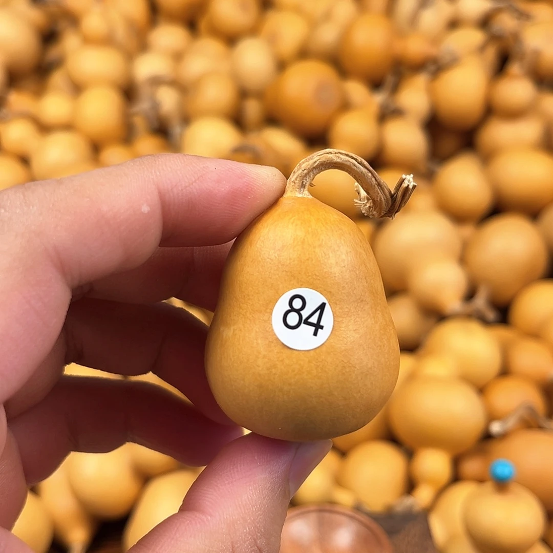 一葫芦葫芦葫芦葫芦84