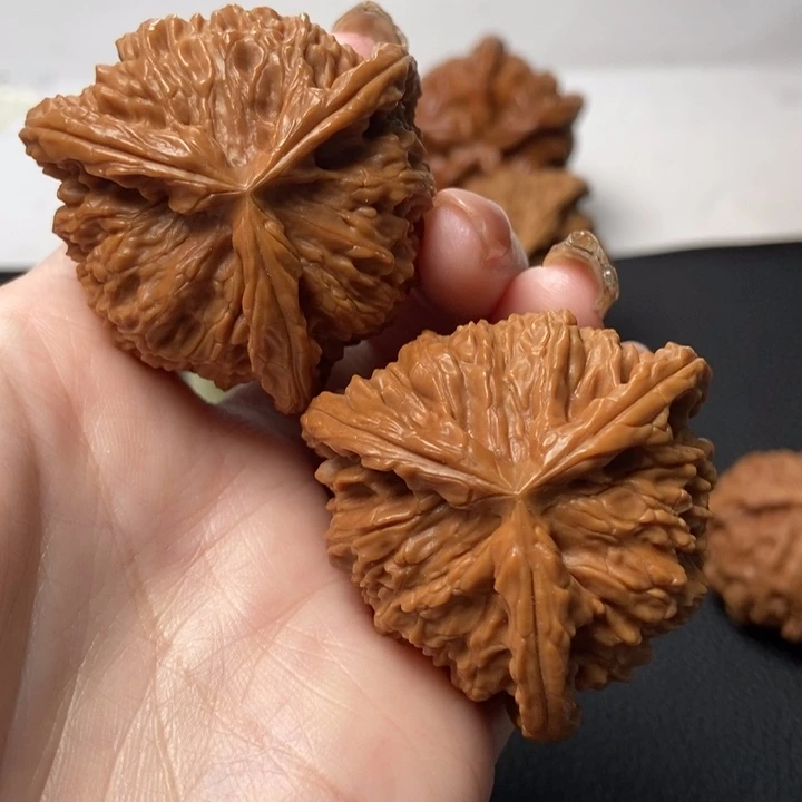 把件文玩核桃森***鹿核桃核桃
