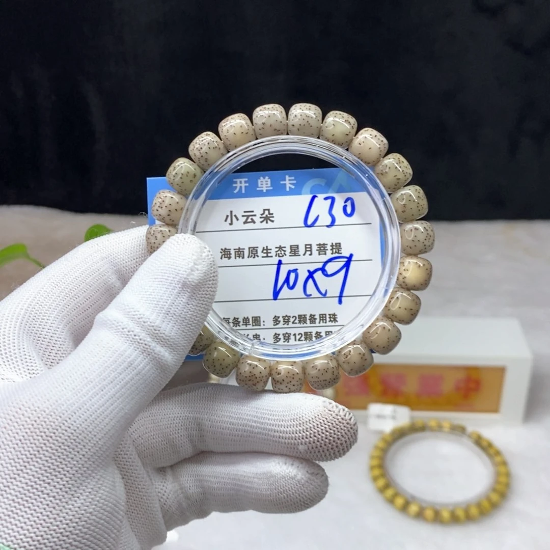 吊坠星月菩提苗*地c30........